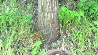 PublicAgent Big Tits Student Sucks And Fucks For Cash In The Forest