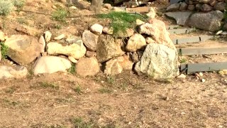 Une Bonne Baise Sur Une île Paradisiaque En Corse