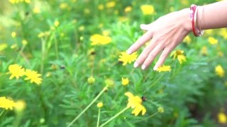 Fare la pipì, Eiaculazione femminile