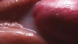 Cumshot Compilation Close-up