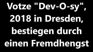 Dev-O-sy Wird Fremdbestiegen Im Hotel