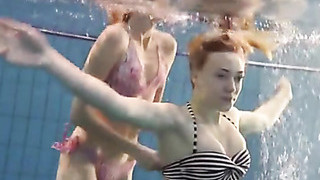 Beauties Swim Together In An Underwater Scene